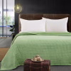 Κουβέρτα Μονόχρωμη Μονή Fleece 11552 160×220 Πράσινο Κουβέρτα Μονόχρωμη Μονή Fleece 11552 160×220 Πράσινο