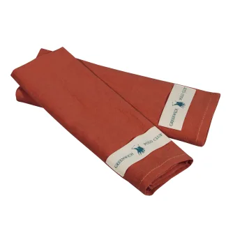 Greenwich Polo Club Σετ Πετσετες Κουζινας 2Tmx 30Χ45 2642 Τερακοτα Τερακοτα