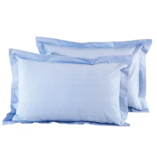 Das Home 1005 Ζευγος Μαξιλαροθηκες Baby Blue Baby Blue Baby Blue