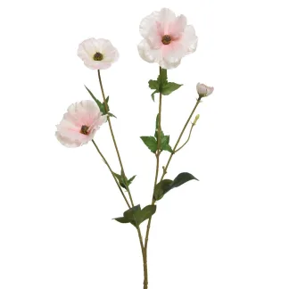 ΛΟΥΛΟΥΔΙ  67CM   Beauty Home