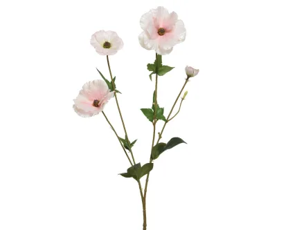 ΛΟΥΛΟΥΔΙ  67CM   Beauty Home