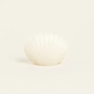 ΚΕΡΙ ΚΟΧΥΛΙ 6 x 4 x 3 cm   Beauty Home