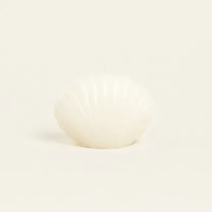 ΚΕΡΙ ΚΟΧΥΛΙ 6 x 4 x 3 cm   Beauty Home