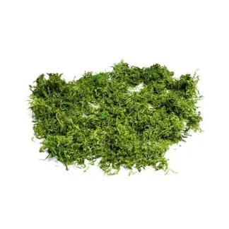 ΦΥΣΙΚΑ ΒΡΥΑ 50gr   Beauty Home