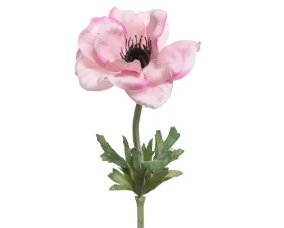 ΑΝΑΕΜΩΝΗ 57 CM   Beauty Home