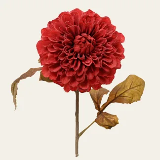 ΛΟΥΛΟΥΔΙ ΝΤΑΛΙΑ 76 CM   Beauty Home