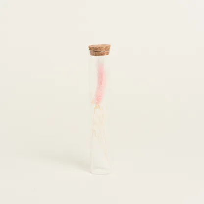 ΓΥΑΛΙΝΟΣ ΣΩΛΗΝΑΣ ΜΕ ΚΛΑΔΙΑ 3 x 18 cm  Ροζ Beauty Home