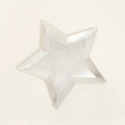 ΜΕΤΑΛΛΙΚΟΣ ΔΙΣΚΟΣ ΑΣΤΕΡΙ ΑΣΗΜΙ 47 x 49 x 2,5 CM   Beauty Home