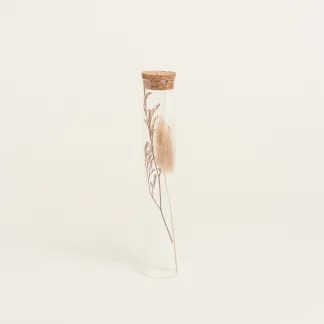 ΓΥΑΛΙΝΟΣ ΣΩΛΗΝΑΣ ΜΕ ΚΛΑΔΙΑ 3 x 18 cm  Μπεζ Beauty Home