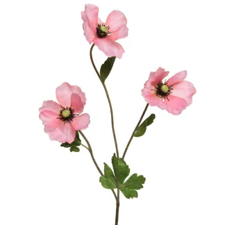 ΠΑΠΑΡΟΥΝΑ ΡΟΖ 71 CM   Beauty Home