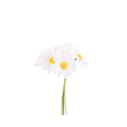 ΜΑΡΓΑΡΙΤΕΣ 6 ΤΜΧ 4,5 x 12
cm   Beauty Home