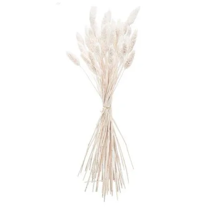 ΜΠΟΥΚΕΤΟ  Phalaris ΦΥΣΙΚΗ  60cm – 50 ΤΜΧ   Beauty Home