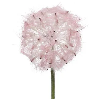 ΛΟΥΛΟΥΔΙ 50 CM   Beauty Home