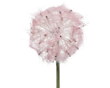 ΛΟΥΛΟΥΔΙ 50 CM   Beauty Home