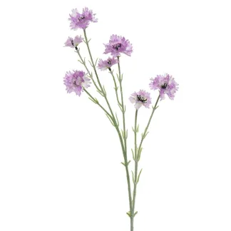 ΛΟΥΛΟΥΔΙ 68 CM   Beauty Home