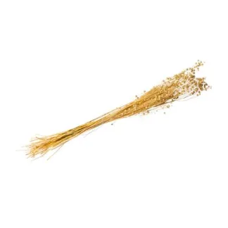 ΑΠΟΞΗΡΑΜΕΝΟ ΛΙΝΑΡΙ 50GR – 60CM   Beauty Home