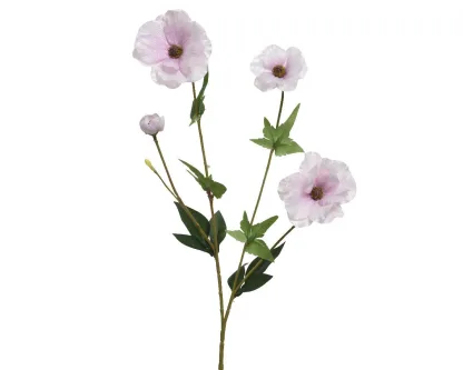 ΛΟΥΛΟΥΔΙ 67CM   Beauty Home