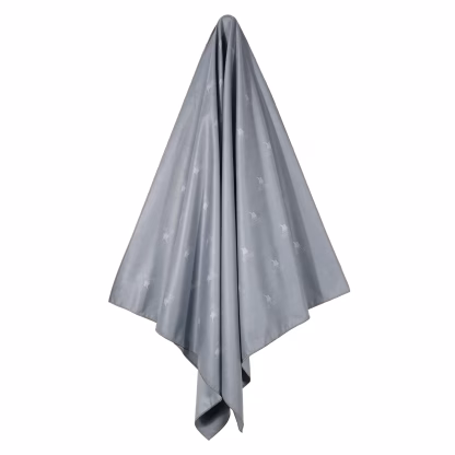 Greenwich Polo Club Πετσετα Θαλασσης 80Χ170 4031 Grey Grey