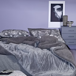 KENTIA NOTTURNO 22 ΠΑΠΛΩΜΑ.KING KENTIA NOTTURNO 22 ΠΑΠΛΩΜΑ.KING