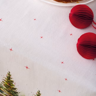 KENTIA SNOW 2421 RUNNER