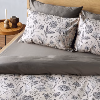 KENTIA ALIDA 15 ΠΑΠΛΩΜΑ.ΥΠΕΡΔΙΠΛΟ