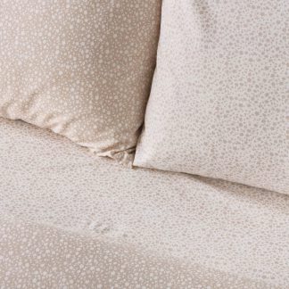 KENTIA CHICATO 12 ΠΑΠΛΩΜΑ.ΥΠΕΡΔΙΠΛΟ