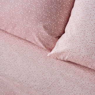 KENTIA CHICATO 18 ΠΑΠΛΩΜΑ.ΥΠΕΡΔΙΠΛΟ