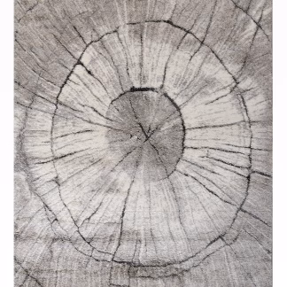 Tzikas Carpets Dorado 133X190 Ταπ. Ρ.ρ. Τουρκιασ