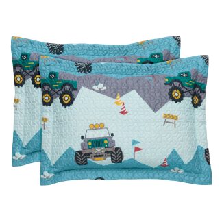 Ζευγος Μαξιλαροθηκες 4926 Green, Grey