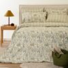 Πάπλωμα King Size Eduarda Λαδί / Γαλάζιο Ultra Line (240×260) Πάπλωμα King Size Eduarda Λαδί / Γαλάζιο Ultra Line (240×260)