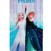 Πετσέτα Θαλάσσης Quick Dry Disney Home Frozen 183 70×140 Λιλά / Μπλε Πάγου Πετσέτα Θαλάσσης Quick Dry Disney Home Frozen 183 70×140 Λιλά / Μπλε Πάγου