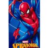 Πετσέτα Θαλάσσης Quick Dry Marvel Spider-Man 184 70×140 Μπλε Πετσέτα Θαλάσσης Quick Dry Marvel Spider-Man 184 70×140 Μπλε