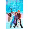 Πετσέτα Θαλάσσης Quick Dry Disney Home Frozen 551 70×140 Μπλε Πετσέτα Θαλάσσης Quick Dry Disney Home Frozen 551 70×140 Μπλε