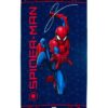 Πετσέτα Θαλάσσης Quick Dry Marvel Spider-Man 558 70×140 Σκούρο Μπλε Πετσέτα Θαλάσσης Quick Dry Marvel Spider-Man 558 70×140 Σκούρο Μπλε