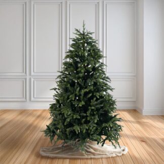 Δέντρο Fraser Fir 210εκ
