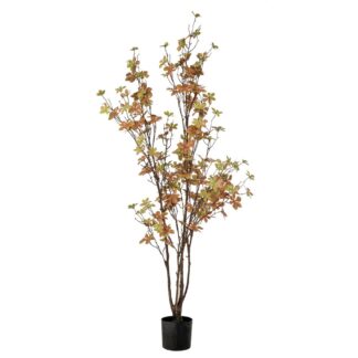 Φυτό Enkianthus Με 150 Φύλλα 120εκ Σε Πλαστικό Κασπώ Φ12.5×11.5εκ