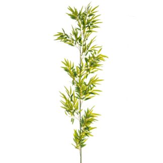 Πράσινο Κλαδί Bamboo Γίγας 2Μ Πράσινο Κλαδί Bamboo Γίγας 2Μ