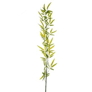 Πράσινο Κλαδί Bamboo Γίγας 1,5Μ