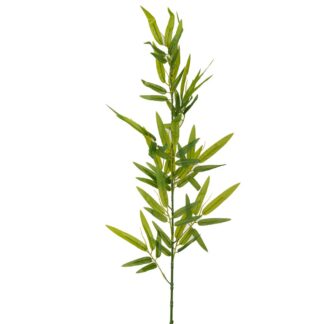 Πράσινο Κλαδί Bamboo 1Μ