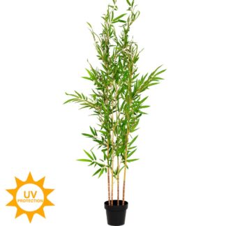 Μπαμπού Φυτό Φ65×195εκ Με UV Kai Fire Protection (Βραδύκαυστο) Μπαμπού Φυτό Φ65×195εκ Με UV Kai Fire Protection (Βραδύκαυστο)