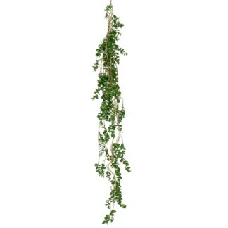Κρεμαστή Ρίζα Ευκάλυπτος 190εκ (2 τμχ) Κρεμαστή Ρίζα Ευκάλυπτος 190εκ (2 τμχ)