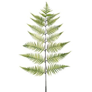 Φτέρη Γίγας Κλαδί 160εκ (3 τμχ)