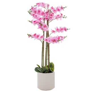 Ροζ Ορχιδέα Phalaenopsis Σε Εκρού Κεραμικό Κασπώ 127εκ