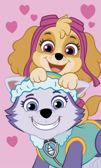 Πετσέτα Βελουτέ 30x50 Paw Patrol 41 Πετσέτα Βελουτέ 30x50 Paw Patrol 41